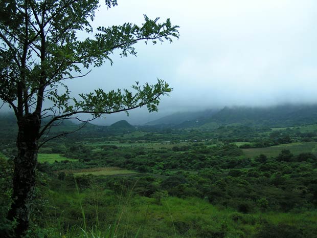 JINOTEGA