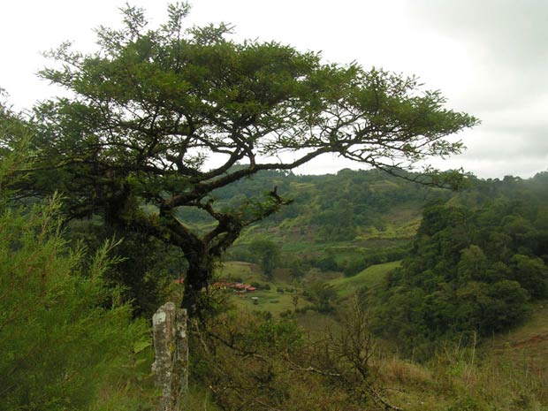 JINOTEGA - NICARAGUA